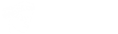 Palladium Legal